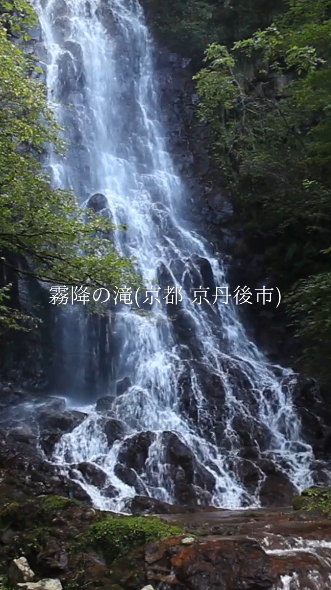 京都北部・京丹後市の網野町新庄地区にある霧降の滝。
#京丹後市 #丹後 #丹後半島 #京丹後観光 #京都府 #網野町 #新庄 #滝 #綺麗な水 #清流 #日本の滝